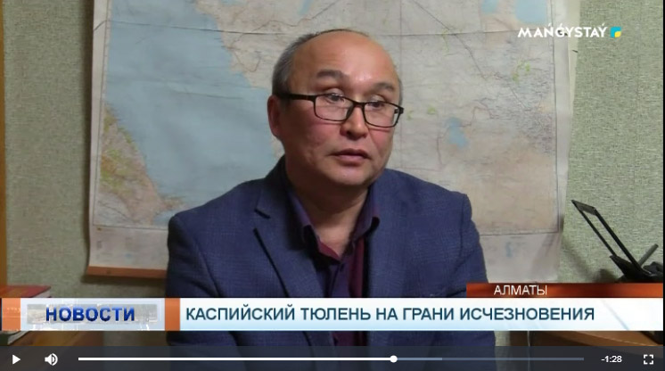 Интервью М. Баймуканова на телеканале «Mańǵystaý»
